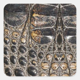 Brown American Alligator Skin Struktur Fyrkantigt Klistermärke