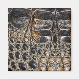 Brown American Alligator Skin Struktur Magnet