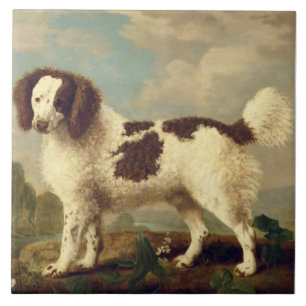 Brown and White Norfolk eller Vatten Spain, 1778 ( Kakelplatta