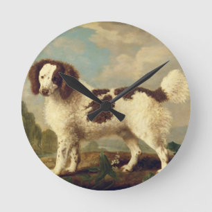 Brown and White Norfolk eller Vatten Spain, 1778 ( Rund Klocka