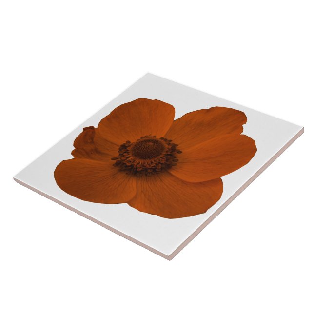 Brown Anemone Tile Kakelplatta (Sidan)