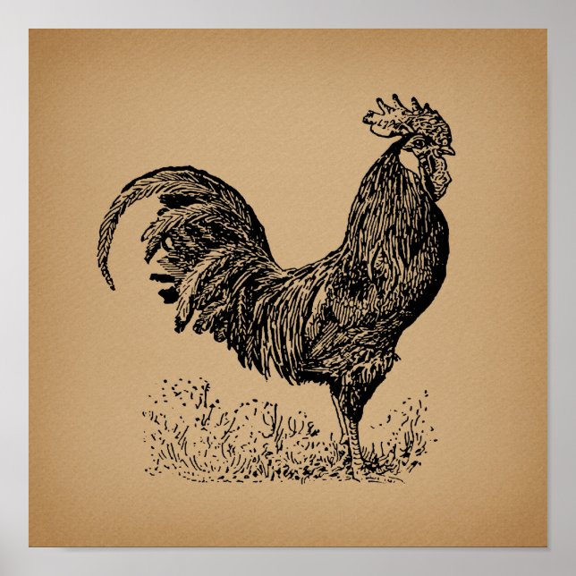 Brown Antique Tupp Illustration Chicken Art Poster (Framsidan)