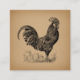 Brown Antique Tupp Illustration Chicken Art Tilläggskort