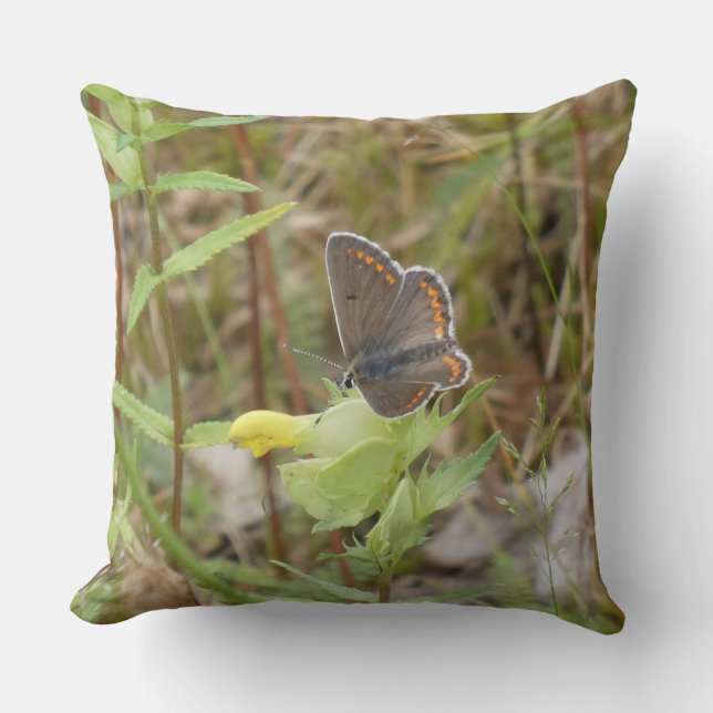 Brown Argus Butterfly Throw Pillow Kudde (Framsida)