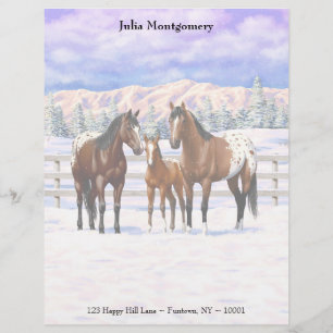 Brown Bay Appaloosa-hästar i Snö Brevhuvud