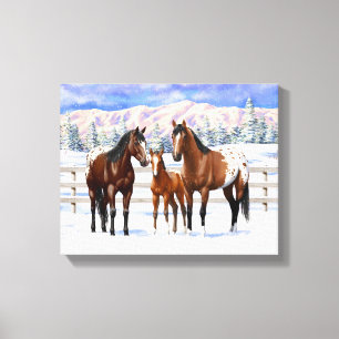 Brown Bay Appaloosa-hästar i Snö Canvastryck