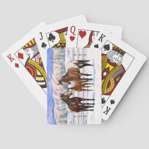 Brown Bay Appaloosa-hästar i Snö Casinokort