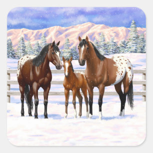 Brown Bay Appaloosa-hästar i Snö Fyrkantigt Klistermärke