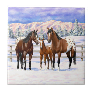 Brown Bay Appaloosa-hästar i Snö Kakelplatta