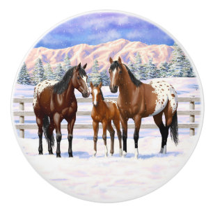 Brown Bay Appaloosa-hästar i Snö Knopp