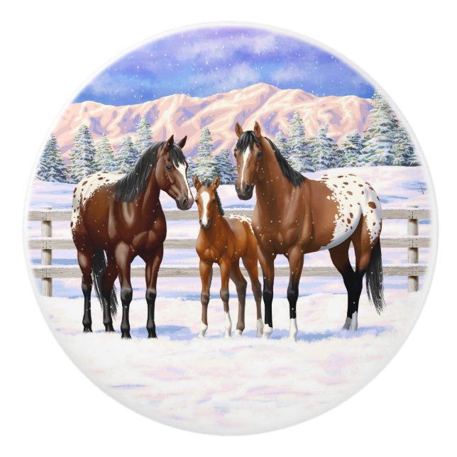 Brown Bay Appaloosa-hästar i Snö Knopp (Framsidan)
