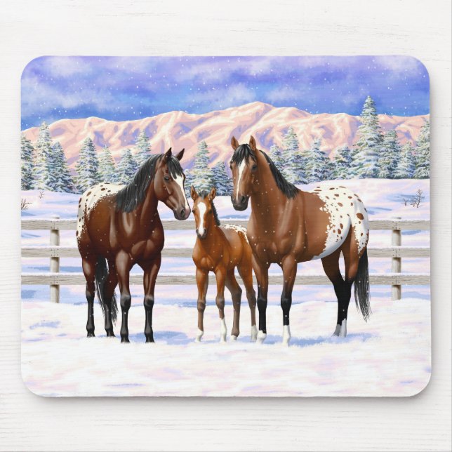 Brown Bay Appaloosa-hästar i Snö Musmatta (Framsidan)