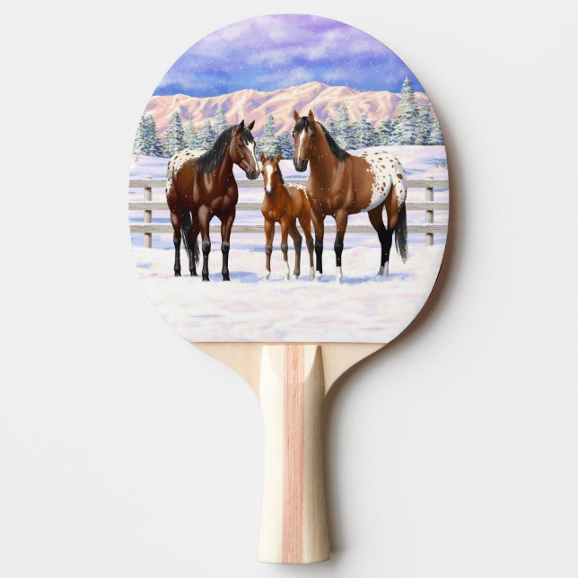 Brown Bay Appaloosa-hästar i Snö Pingisracket (Framsidan)