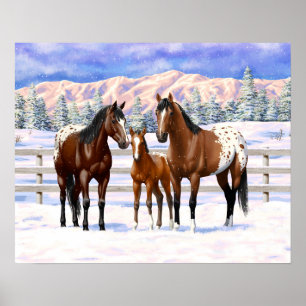 Brown Bay Appaloosa-hästar i Snö Poster