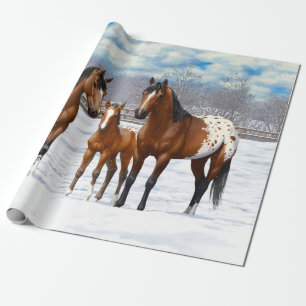 Brown Bay Appaloosa-hästar i Snö Presentpapper