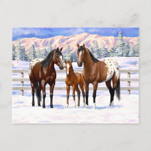Brown Bay Appaloosa-hästar i Snö Vykort