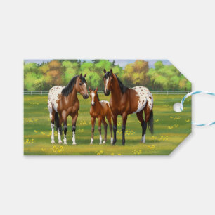 Brown Bay Appaloosa-hästar på sommarbete Presentetikett