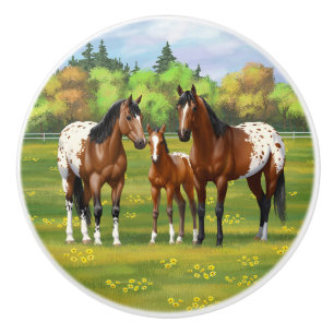 Brown Bay appaloosa-hästar under sommarbetesgång Knopp