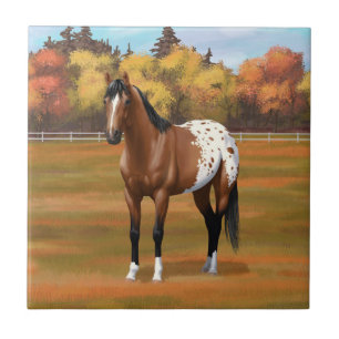 Brown Bay Appaloosa Horse på hösten Kakelplatta