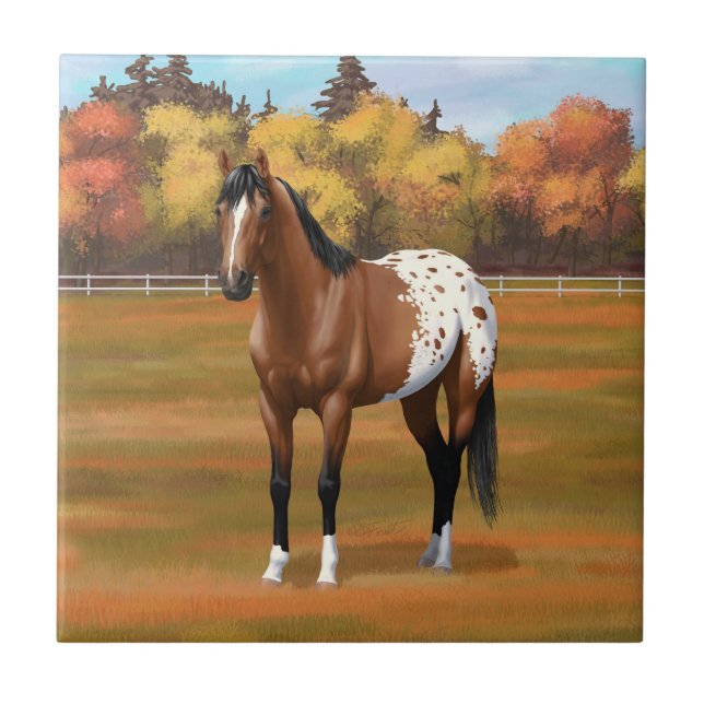 Brown Bay Appaloosa Horse på hösten Kakelplatta (Framsidan)