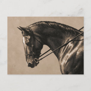 Brown Bay Oldenburg Horse Porträtt Sepia Vykort