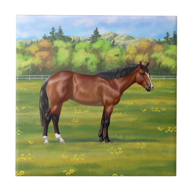 Brown Bay Quarter Horse Kakelplatta (Framsidan)