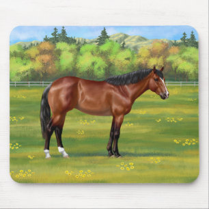 Brown Bay Quarter Horse Musmatta