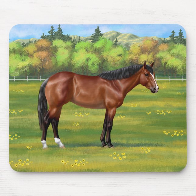 Brown Bay Quarter Horse Musmatta (Framsidan)