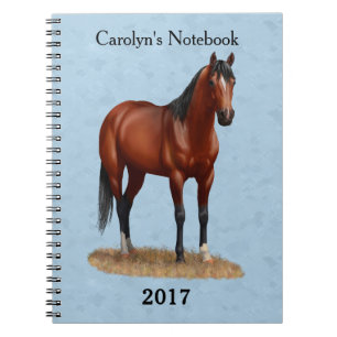 Brown Bay Quarter Horse Stallion Anteckningsbok