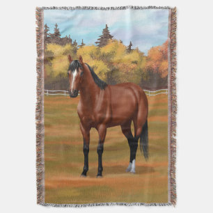 Brown Bay Quarter Horse Stallion Filt