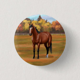 Brown Bay Quarter Horse Stallion Knapp