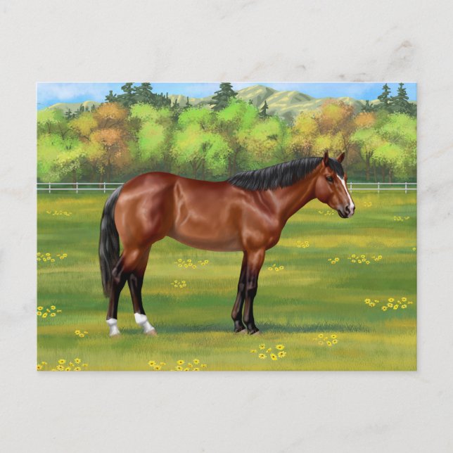Brown Bay Quarter Horse Vykort (Framsida)