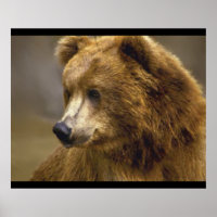 Brown Bear Älskare