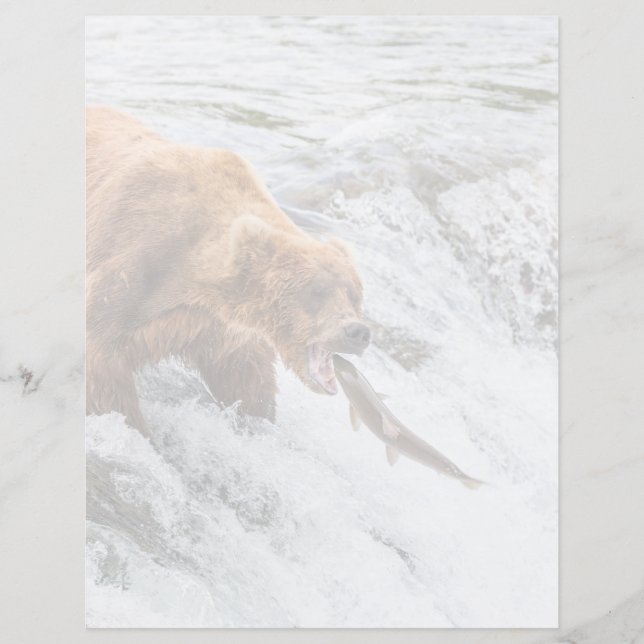 Brown Bear Catches Red Salmon (Framsida)