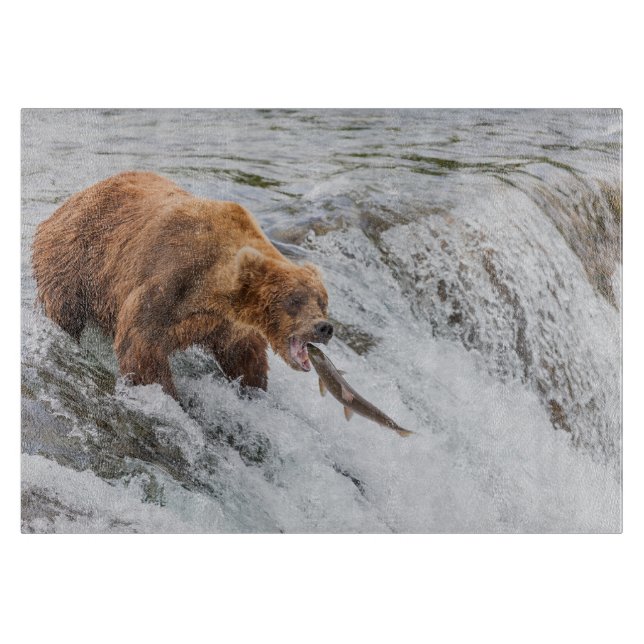Brown Bear Catches Red Salmon (Framsidan)