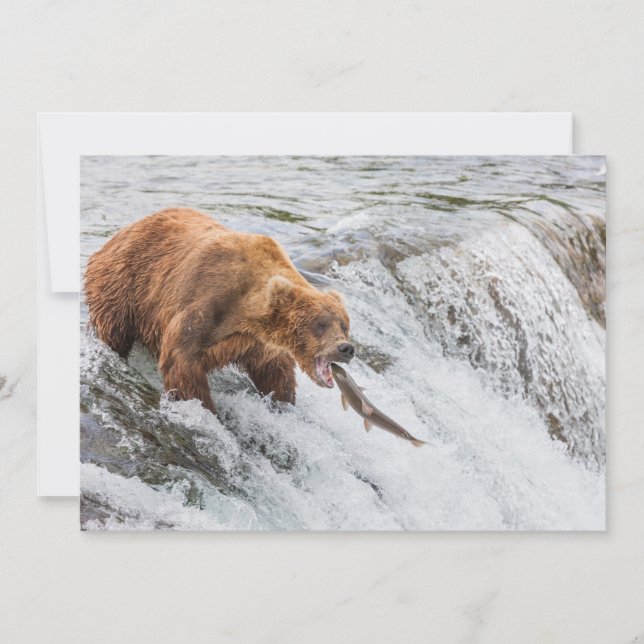 Brown Bear Catches Red Salmon Tack Kort (Framsida)