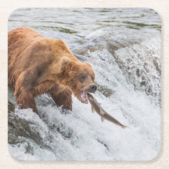 Brown Bear Catches Red Salmon Underlägg Papper Kvadrat (Framsidan)