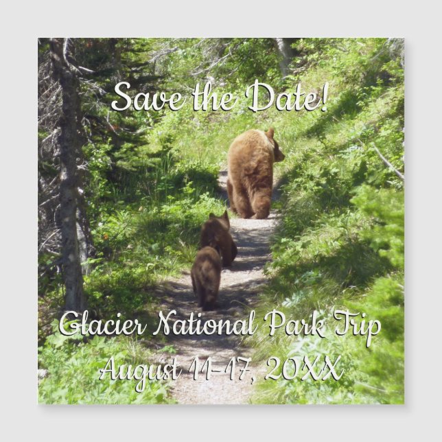 Brown Bear Family (Framsida)