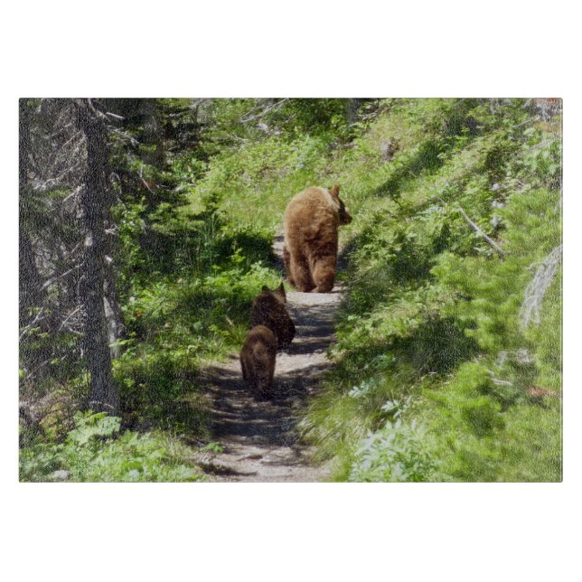 Brown Bear Family (Framsidan)