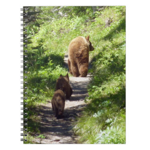 Brown Bear Family Anteckningsbok