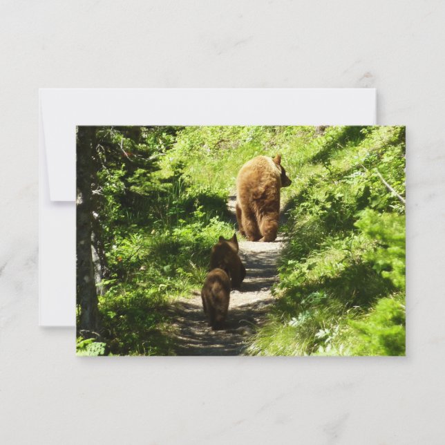 Brown Bear Family Anteckningskort (Framsida)