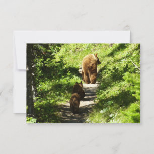 Brown Bear Family Anteckningskort