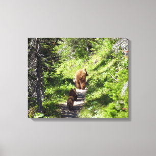 Brown Bear Family Canvastryck
