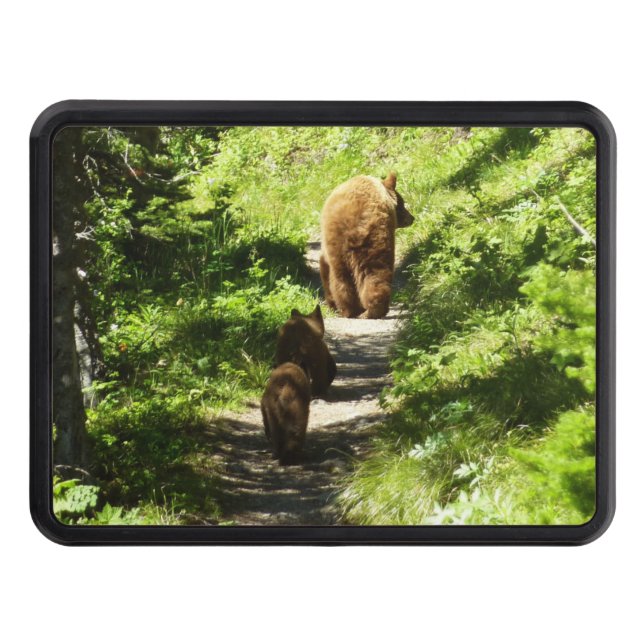 Brown Bear Family Dragkroksskydd (Framsidan)