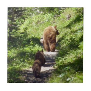 Brown Bear Family Kakelplatta