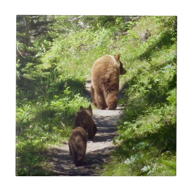 Brown Bear Family Kakelplatta (Framsidan)