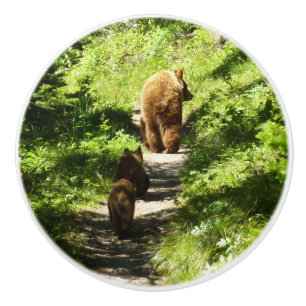 Brown Bear Family Knopp