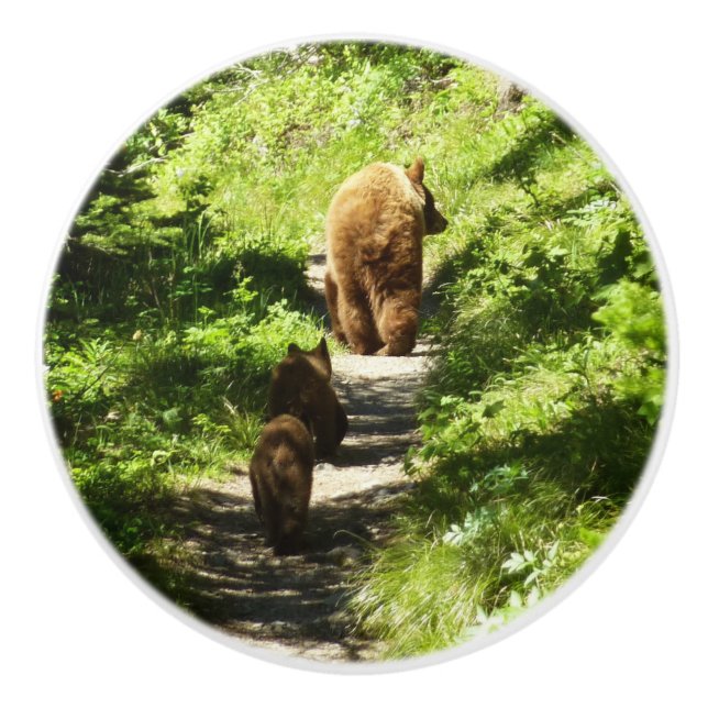 Brown Bear Family Knopp (Framsidan)