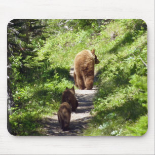 Brown Bear Family Musmatta