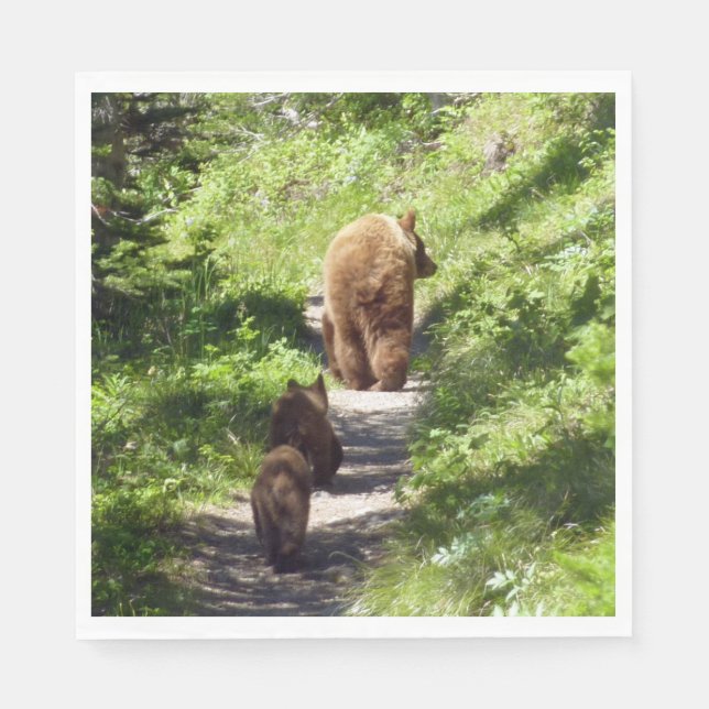 Brown Bear Family Pappersservett (Framsidan)